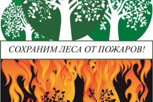 https://gp52.ru/wp-content/uploads/2025/06/2-StopFireForest-300x200.jpg