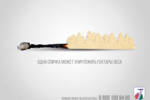 https://gp52.ru/wp-content/uploads/2025/06/4-StopFireForest-300x200.jpg