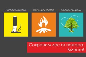 https://gp52.ru/wp-content/uploads/2025/06/5-StopFireForest-300x200.jpg
