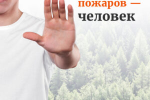 https://gp52.ru/wp-content/uploads/2025/06/City_STOPFIRE_BOY-ALO-300x200.jpg